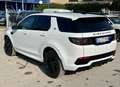 Land Rover Discovery Sport 2.0d  mhev R-Dynamic SE awd 163cv auto Bianco - thumbnail 12