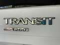 Ford Transit 2,2 TDCI Kasten FT 260 K LKW *TÜV 2026 * Blanc - thumbnail 29