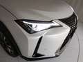 Lexus UX 250h 2.0 Premium 2wd cvt Bianco - thumbnail 10