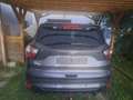 Ford Kuga Kuga+2,0+TDCi+ST-Line+Powershift+Aut.+AWD+ST-Line Grau - thumbnail 14