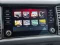 Skoda Kodiaq 2.0 TDI DSG 4x4 Sportline AHK, 7 Sitzer Rot - thumbnail 19