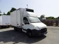 Iveco Daily 35 C14 METANO ISOTERMICO -20 Bianco - thumbnail 1