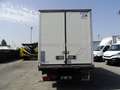 Iveco Daily 35 C14 METANO ISOTERMICO -20 Bianco - thumbnail 7