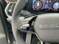 Skoda Kodiaq Selection 1.5 TSI mHEV DSG HUD 7Sitzer Grau - thumbnail 20
