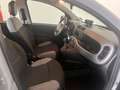 Fiat Panda Panda III 1.2 easypower City Life Gpl s&s 69cv Gris - thumbnail 7