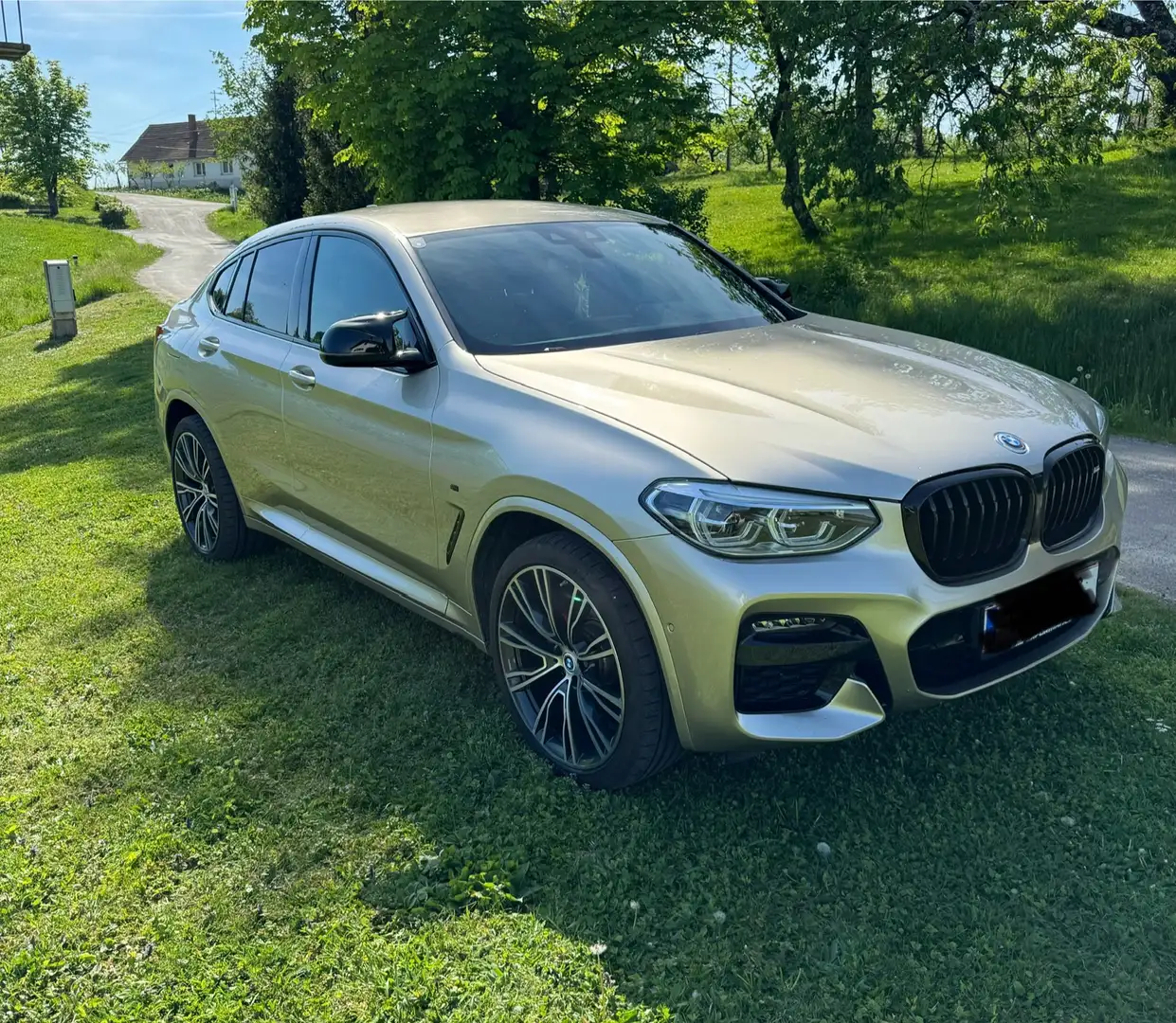 BMW X4 xDrive 20d 48 V Aut. Gold - 1