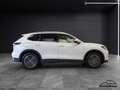 Volkswagen Tiguan Elegance 1.5eTSI DSG IQ.Light NAV AHK ACC Blanc - thumbnail 10