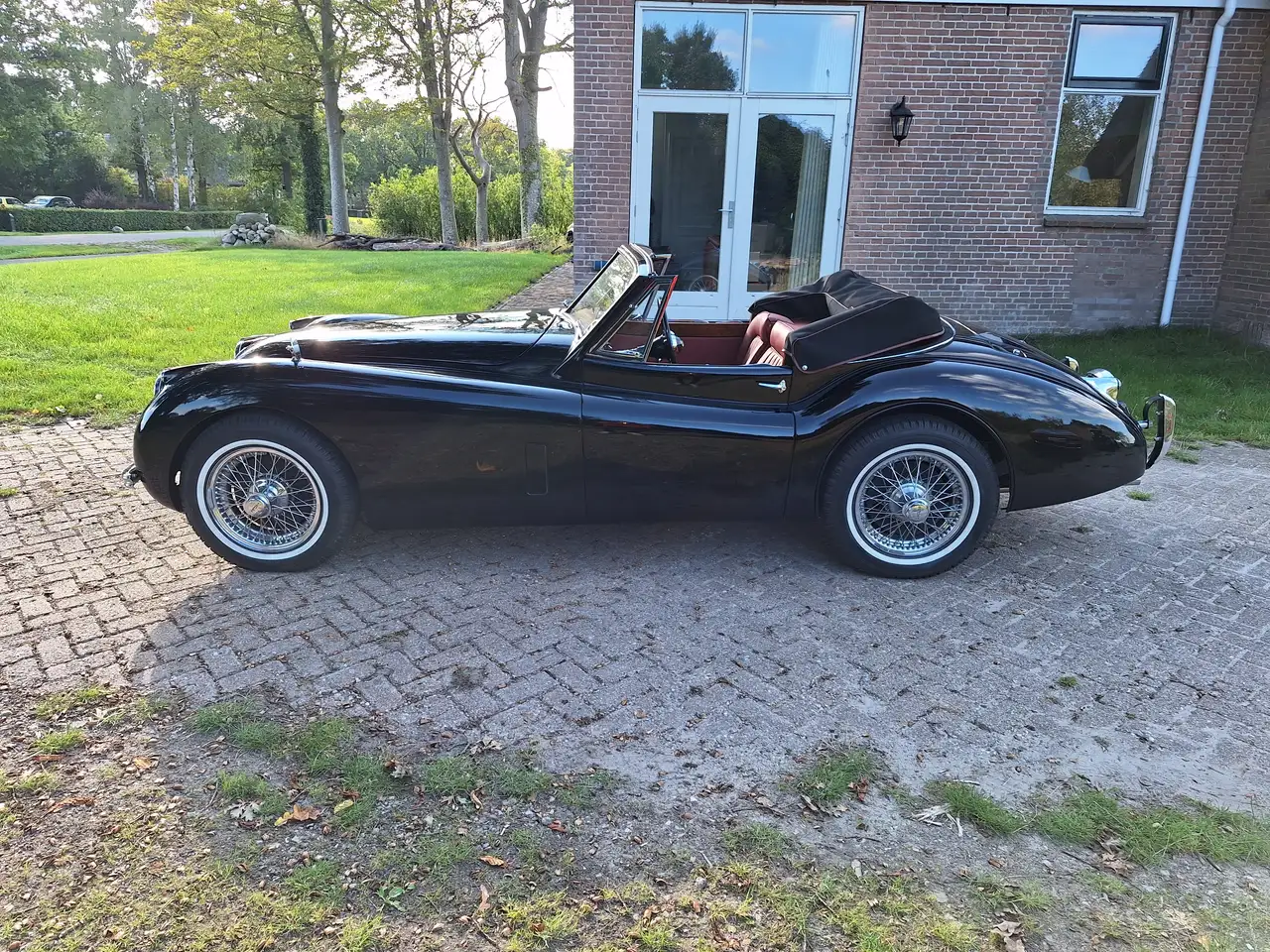 Jaguar XK 120 DHC (1953) 8-cyl. black in like new condition!, foto 3