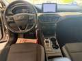 Ford Focus Focus 1.5 ecoblue Titanium NAVI,TELECAMERA,LED Argento - thumbnail 17