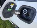 Ford Focus Focus Traveller 1,5 EcoBlue ST-Line X ST-Line X Weiß - thumbnail 12
