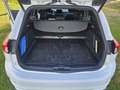 Ford Focus Focus Traveller 1,5 EcoBlue ST-Line X ST-Line X Weiß - thumbnail 8