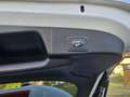 Ford Focus Focus Traveller 1,5 EcoBlue ST-Line X ST-Line X Weiß - thumbnail 9