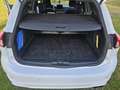 Ford Focus Focus Traveller 1,5 EcoBlue ST-Line X ST-Line X Weiß - thumbnail 7