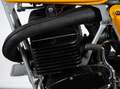 KTM 250 GS REGOLARITA' Geel - thumbnail 41