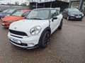 MINI Cooper S Paceman Cooper S  Paceman Allrad * TOP AUSSTATTUNG* Weiß - thumbnail 3
