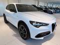 Alfa Romeo Stelvio 2.2 t Veloce Q4 210cv auto Nazionale Blanc - thumbnail 3
