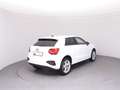 Audi Q2 30 TFSI admired Weiß - thumbnail 4