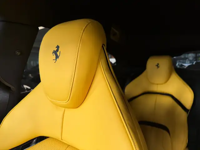 Ferrari Purosangue view 23