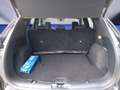 Ford Kuga 2.0 EcoBlue Hybrid ST-LINE X Grau - thumbnail 7