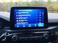 Ford Kuga 2.0 EcoBlue Hybrid ST-LINE X Grau - thumbnail 21