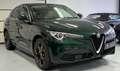 Alfa Romeo Stelvio 2.2 160 ch AT8 Ti Verde - thumbnail 5