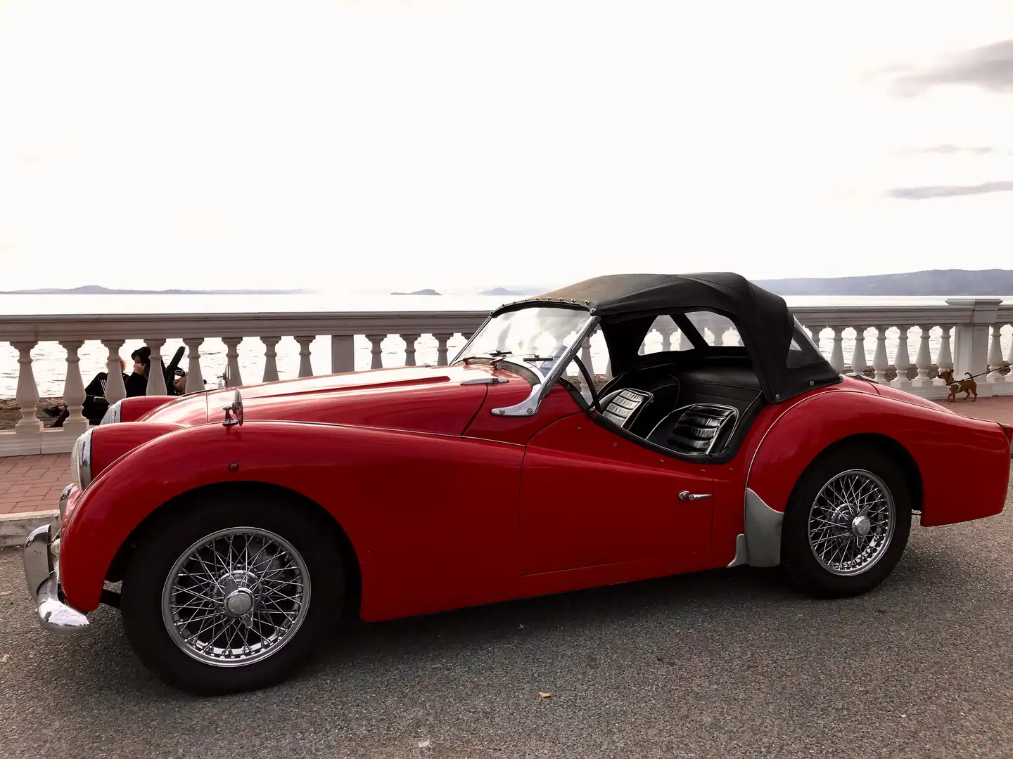 Triumph TR3 Rot - 2