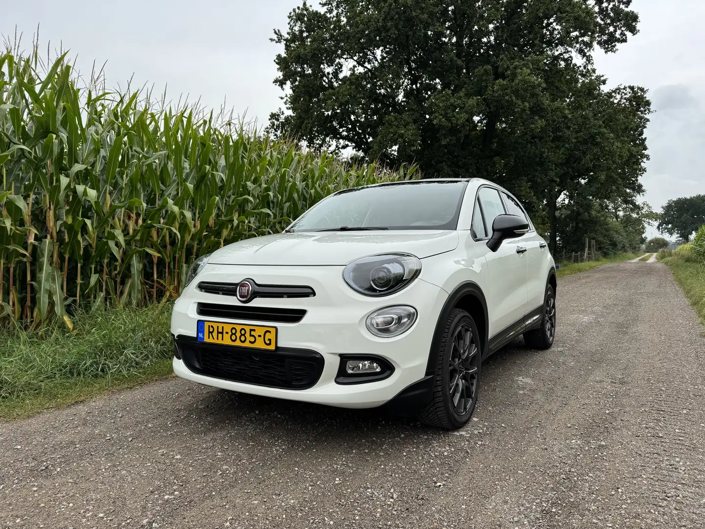 Fiat 500X 1.4 T M-Air S-Design Wit - 2