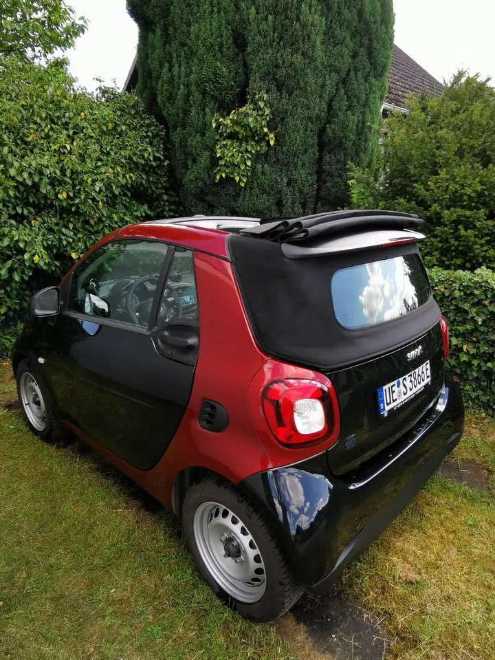 smart forTwo 2023 — фото 8