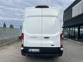 Ford Transit L2 H2 - NO IVA Bianco - thumbnail 5