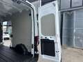 Ford Transit L2 H2 - NO IVA Bianco - thumbnail 14