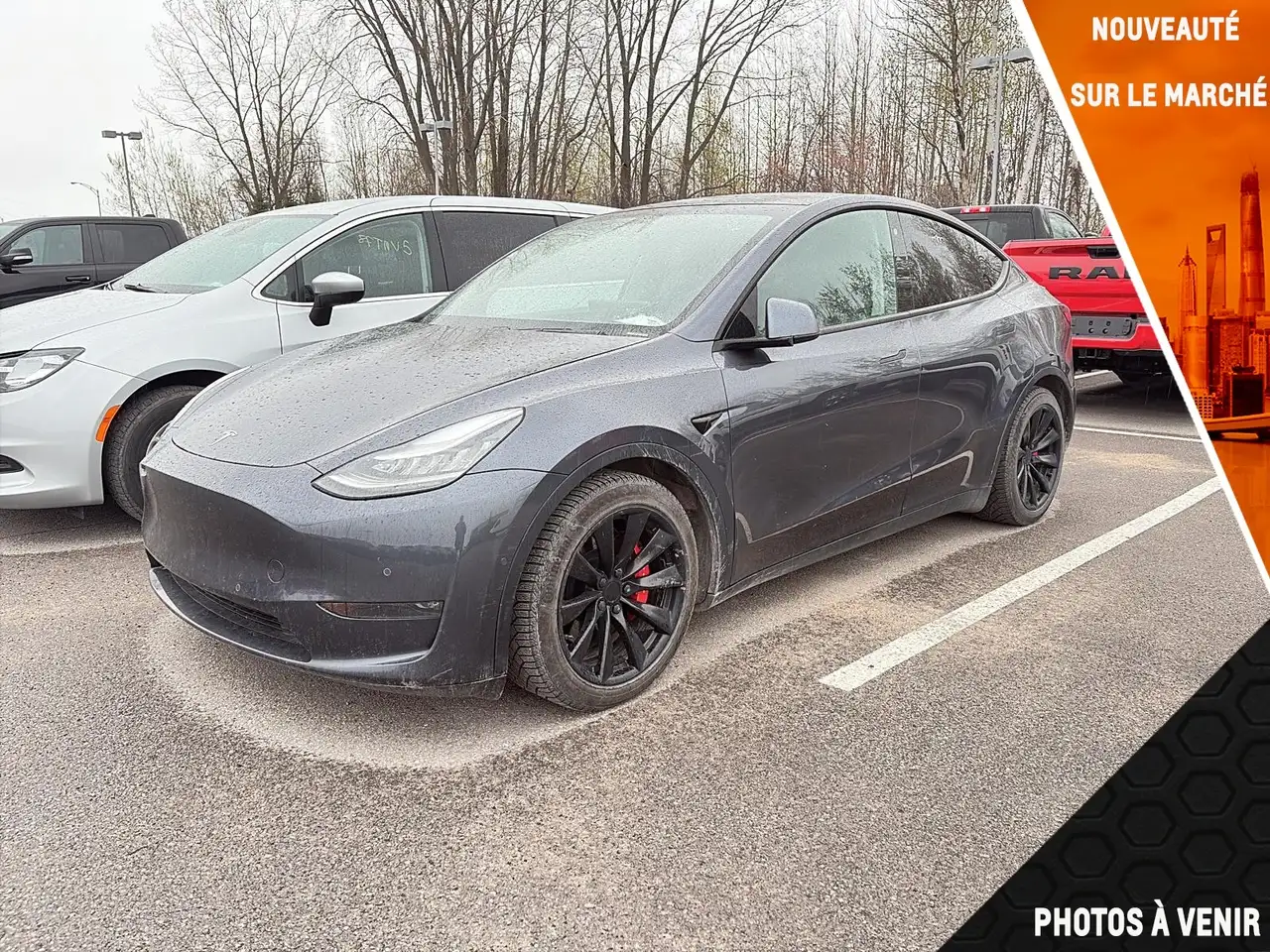 2020 Tesla Model Y