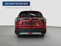 Suzuki S-Cross 1,4 Hybrid ALLGRIP shine Rot - thumbnail 6