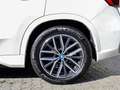 BMW iX1 xDrive30 M-Sport AHK LED NAVI KAMERA SHZ Weiß - thumbnail 12
