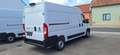 Fiat Ducato KW L2H2 120MT mit Rückfahrkamera Blanc - thumbnail 3
