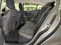 Ford Focus 1.0 EcoBoost 100 CV 5p. Business Gris - thumbnail 12
