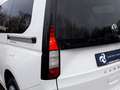 Volkswagen Caddy 2.0TDI KLIMA+PARK-ASSIST+SITZHZG+++ Weiß - thumbnail 10