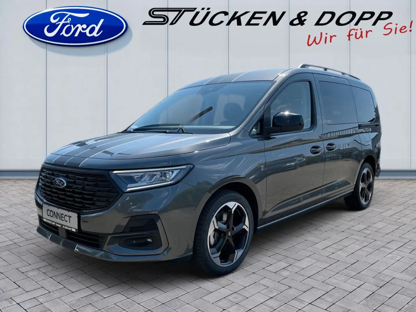 Ford Grand Tourneo Ford G. Connect Tourneo 2.0 EcoBlue *Rollstuhl*+ Gris - 2