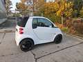 smart forTwo fortwo cabrio Basis 62 kW, Servo Weiß - thumbnail 8