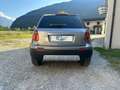 Fiat Sedici Sedici 1.9 mjt Emotion 4x4 120cv Beige - thumbnail 5