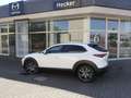 Mazda CX-30 e-SKYACTIV-X 2.0 M HYBRID PREIS-HAMMER-AKTION Blanc - thumbnail 1