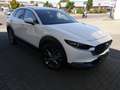 Mazda CX-30 e-SKYACTIV-X 2.0 M HYBRID PREIS-HAMMER-AKTION Blanc - thumbnail 6