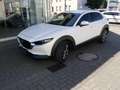 Mazda CX-30 e-SKYACTIV-X 2.0 M HYBRID PREIS-HAMMER-AKTION Blanc - thumbnail 3
