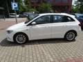 Mercedes-Benz B 250 Progressive Plugin Hybrid AHK 1600 KG Zuglast bijela - thumbnail 3