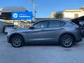 Alfa Romeo Stelvio Stelvio 2.2 t Business Q4 190cv auto Grigio - thumbnail 2