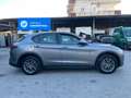 Alfa Romeo Stelvio Stelvio 2.2 t Business Q4 190cv auto Grigio - thumbnail 3
