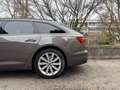 Audi A6 40 TDI sport Braun - thumbnail 3