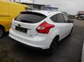 Ford Focus 1,0 Blanc - thumbnail 4