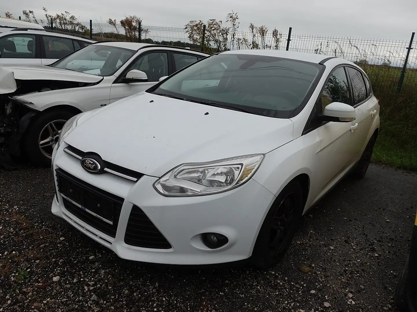 Ford Focus 1,0 Blanc - 2