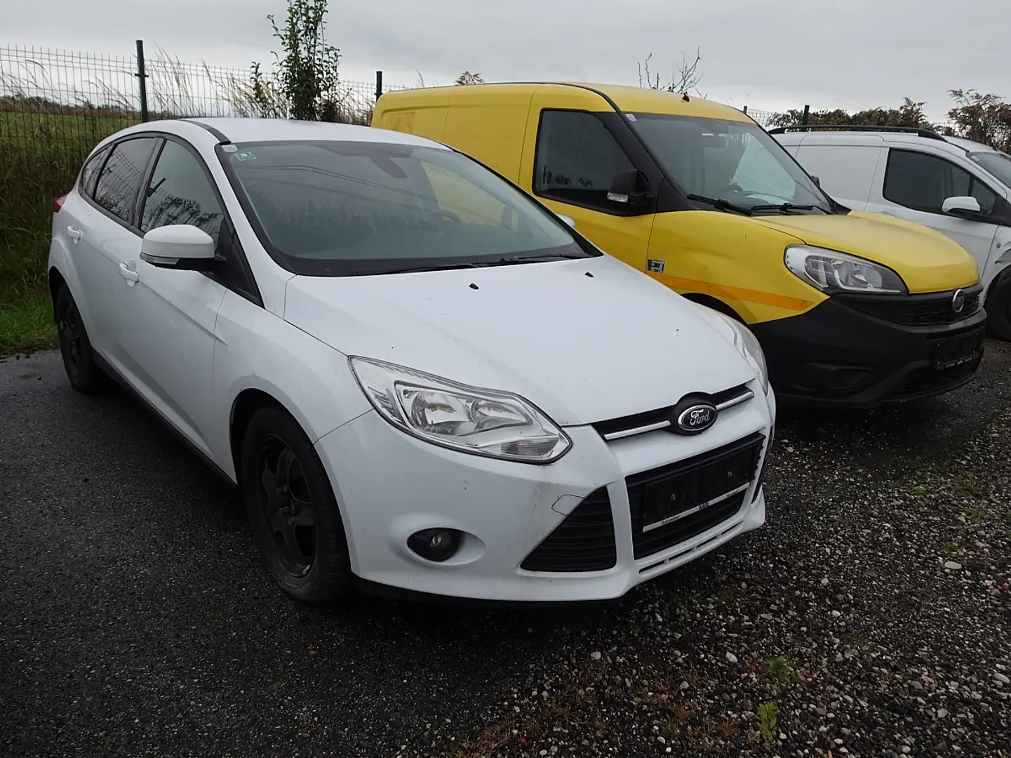 Ford Focus 1,0 Blanc - 1
