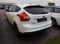 Ford Focus 1,0 Blanc - thumbnail 5